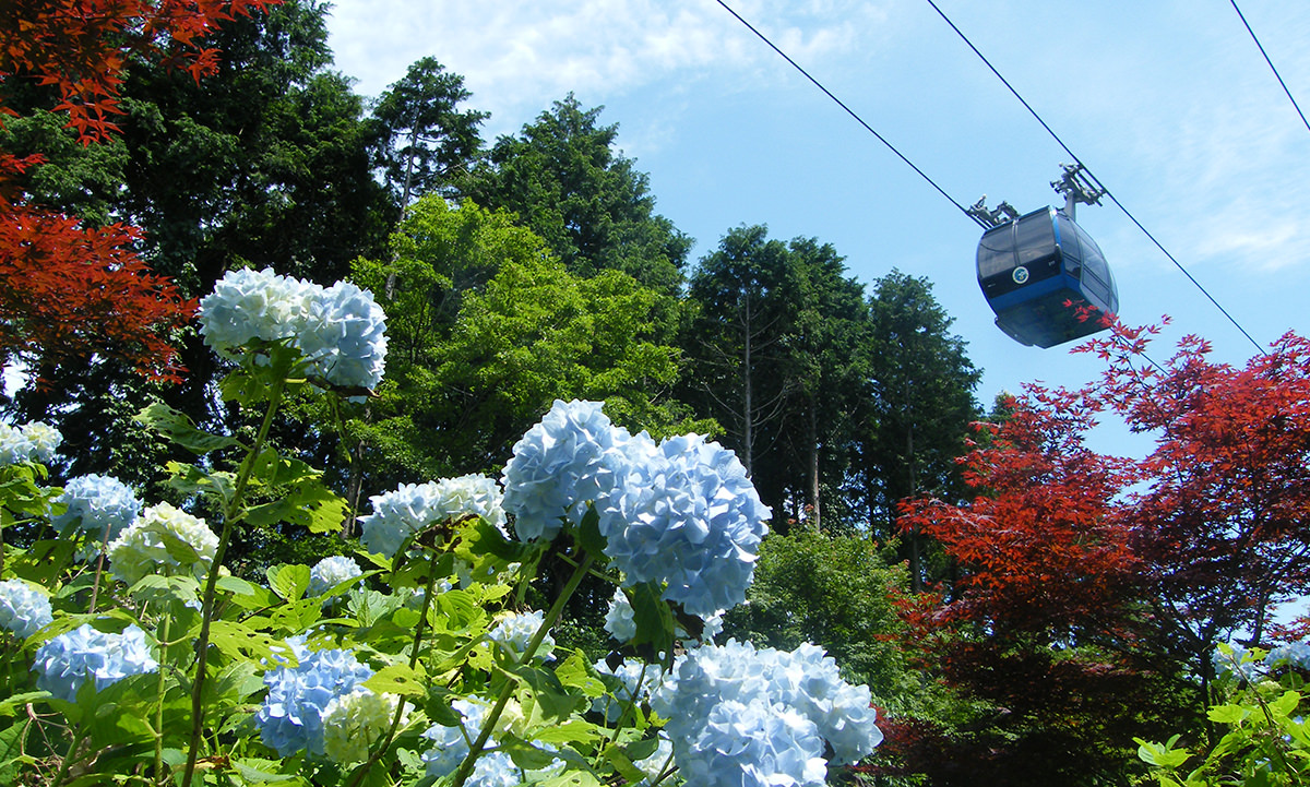箱根ロープウェイ　夏