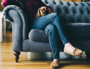 ソファに座る女性と犬