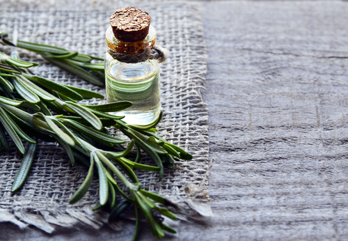 Rosemary,Essential,Oil,In,A,Glass,Bottle,With,Fresh,Green